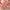 Nude Look Natural Shine Lip Gloss - Brillo de labios nude
