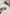 Matte Lipstick Mini Set - Set de 4 mini labiales mate